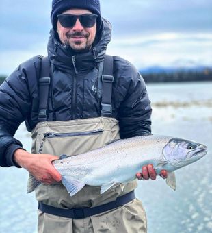 Kenai River Coho (silver) Salmon caught